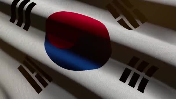 Drapeau République Corée Corée Sud Animation Boucle — Video