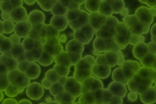Bello Artistico Verde Sacco Bio Batteri Arte Digitale Texture Illustrazione — Foto Stock
