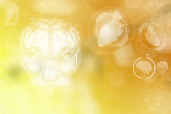 Cerebro Humano Concepto Descubrimiento Fisiológico Textura Fondo Alta Tecnología Detallado — Foto de Stock