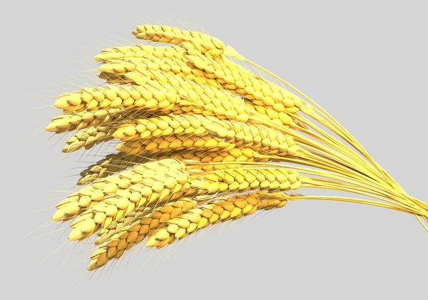 Χρυσό Σίκαλη Sheaf Γεωργική Απόδοση Απομονωμένη Φύση Εικονογράφηση — Φωτογραφία Αρχείου