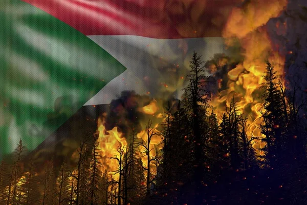 Orman Çatışması Konsepti Doğal Afet Sudan Bayrağı Arka Planında Yanan — Stok fotoğraf