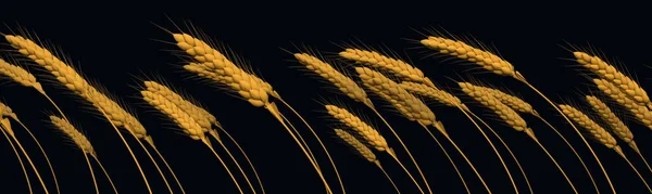 Landwirtschaftlicher Ertrag Goldene Roggen Linie Nahsicht Isoliert Cgi Natur Darstellung — Stockfoto