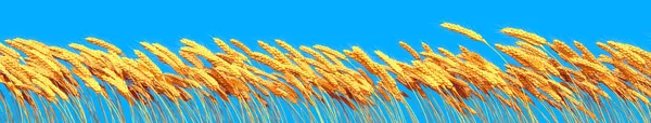 Žito Modré Obloze Zemědělská Sklizeň Pozadí Izolované Cgi Průmyslové Vykreslování — Stock fotografie