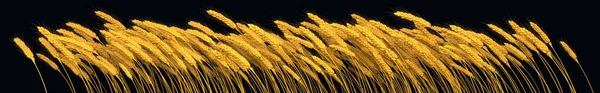 Ländlicher Ertrag Goldener Roggen Oder Weizen Isoliert Cgi Nature Illustration — Stockfoto