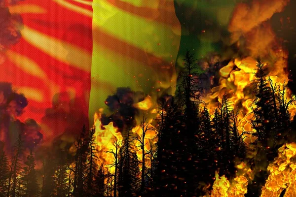 Forest Fire Natural Disaster Concept Flaming Fire Trees Guinea Flag — Stock Photo, Image