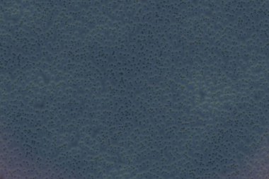 modern biyo-kaos dijital grafik dokusu çizimi