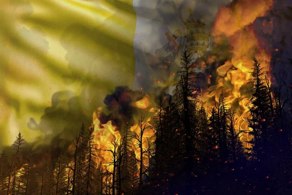 Forest Fire Natural Disaster Concept Heavy Fire Woods Holy See — Stock Photo, Image