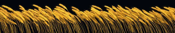 Урожай Ферми Золота Лінія Пшениці Ізольовані Природа Ілюстрація — стокове фото