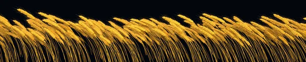 Venkovské Plodiny Zlatavé Žitné Nebo Pšeničné Linie Izolované Digitální Příroda — Stock fotografie