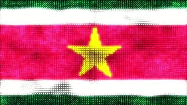 Bandera Digital Surinam Animación Bucle — Vídeos de Stock