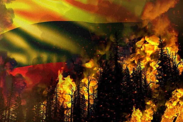 Forest Fire Natural Disaster Concept Infernal Fire Trees Lithuania Flag — Stock Photo, Image