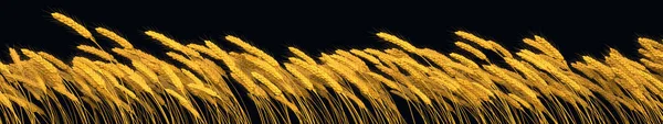 Zemědělská Sklizeň Izolovaná Linie Zlaté Pšenice Digitální Příroda Vykreslování — Stock fotografie