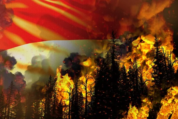 Big Forest Fire Fight Concept Natural Disaster Infernal Fire Trees — Stock Photo, Image