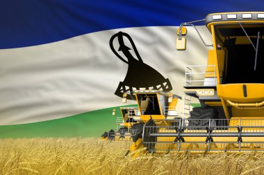 Çavdar tarlasında Lesotho bayrağı ile 3 sarı modern hasatçı birleştirmek - yakın görüş, tarım konsepti - endüstriyel 3D illüstrasyon