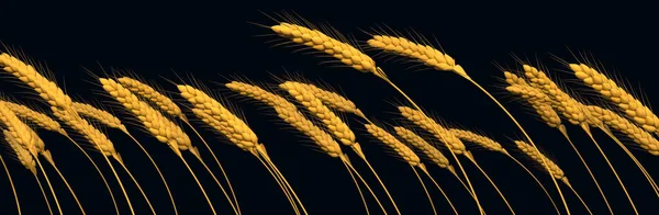 Agricultural Crop Golden Rye Line Close View Isolated Nature Rendering — Stock Photo, Image