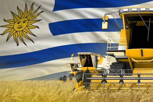 Sárga Modern Kombájnok Uruguayi Zászlóval Búzamezőn Közelkép Gazdálkodási Koncepció Ipari — Stock Fotó