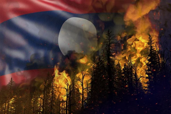 Waldbrand Naturkatastrophen Konzept Höllenfeuer Wald Auf Flagge Der Demokratischen Volksrepublik — Stockfoto