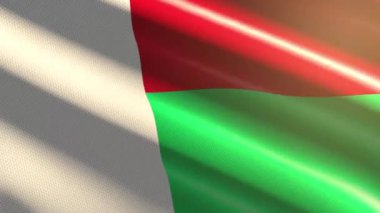 Madagaskar 'ın parlak bayrağı - döngü animasyonu