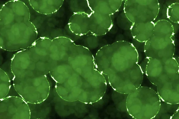 Piękny Projekt Ogromna Ilość Mikroorganizmów Biologicznych Grafika Komputerowa Tekstura Ilustracja — Zdjęcie stockowe
