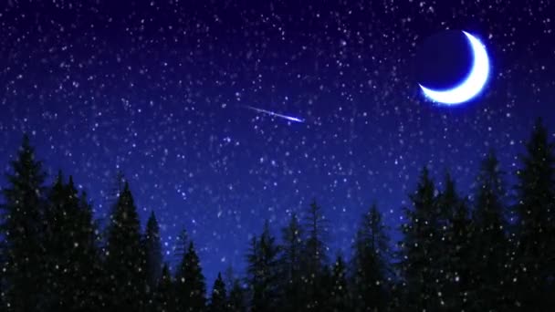 Night Forest Snow Falling Star Moon New Year Backdrop — Stock Video