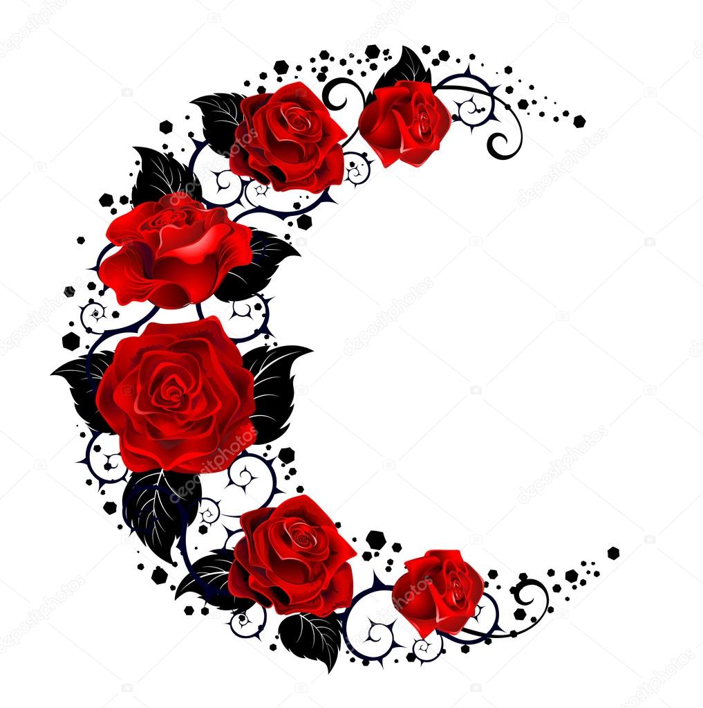 Red Rose With Vine Drawing
