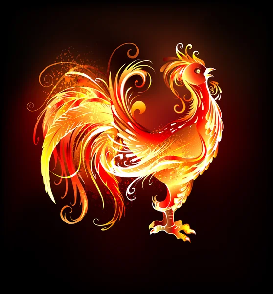 Fire rooster on dark background — Stock Vector