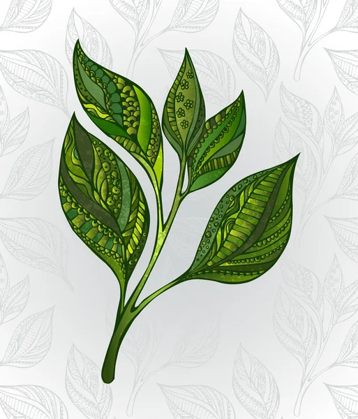 Πράσινο τσάι βλαστάρι — Διανυσματικό Αρχείο