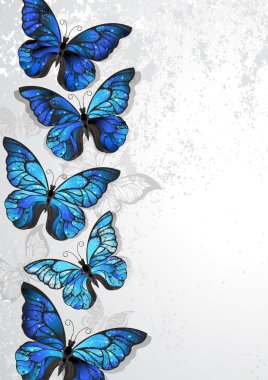 Design with blue butterflies morpho clipart