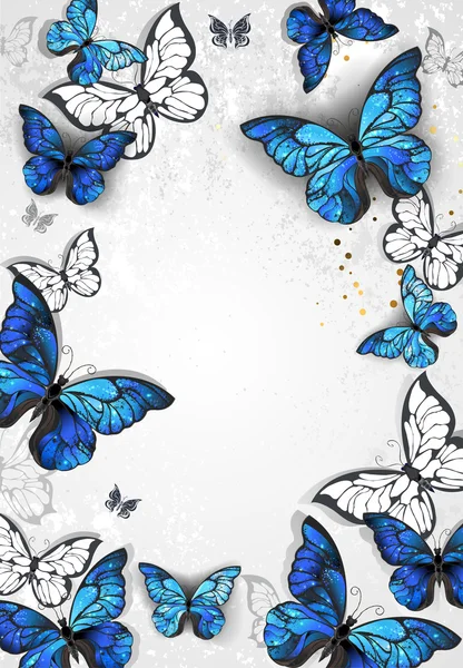 Rahmen mit Schmetterlingen morpho — Stockfoto
