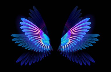 depositphotos_431646622-stock-illustration-transparent-luminous-blue-iridescent-hummingbird.jpg