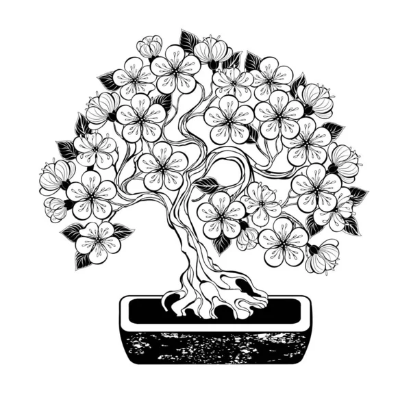 Obrys Bonsai Kvetoucí Japonské Třešně Zakřiveným Kmenem Umělecky Kreslenými Konturovanými — Stockový vektor