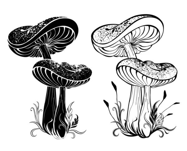 Twee Monochrome Contour Silhouet Rijpe Champignons Met Grote Doppen Witte — Stockvector