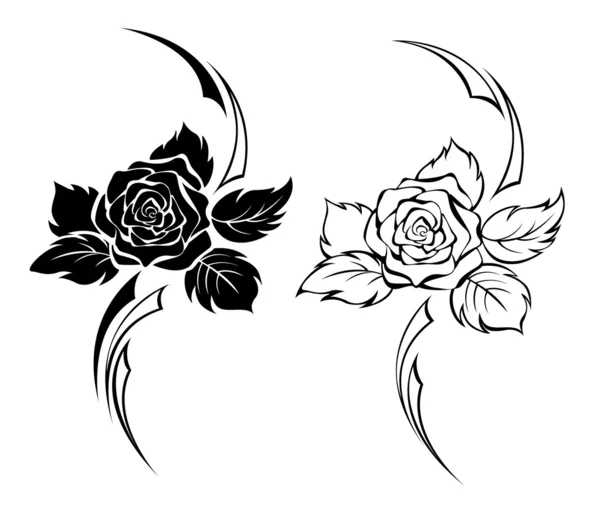 Två svartvita rose — Stock vektor
