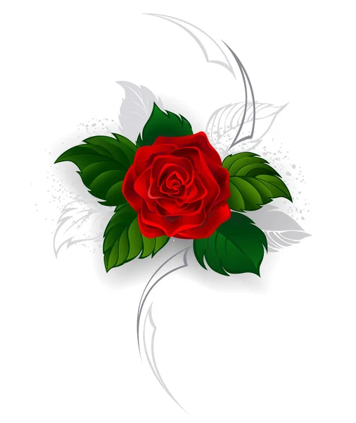 Rosa roja floreciente — Vector de stock