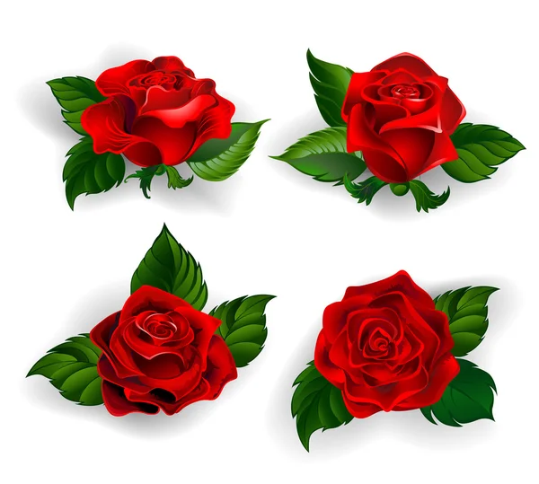 Set di rose rosse — Vettoriale Stock