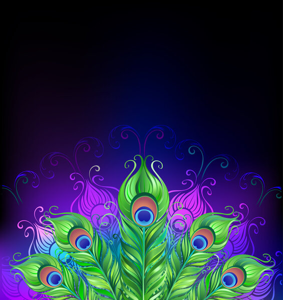 peacock tail background