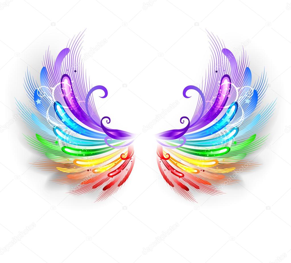 rainbow wings on a white background