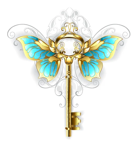 蝶の羽と黄金の鍵 — ストックベクタ