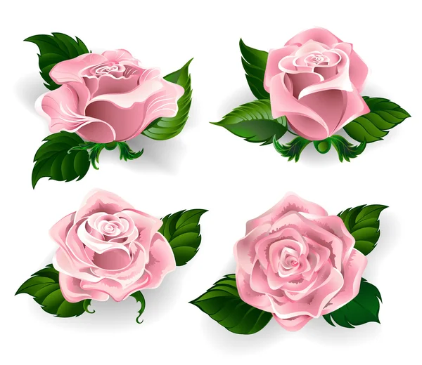 Ensemble de roses roses — Image vectorielle