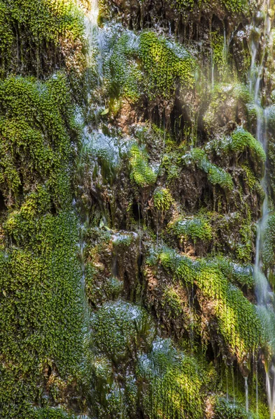 Фон водоспаду зелена трава — стокове фото