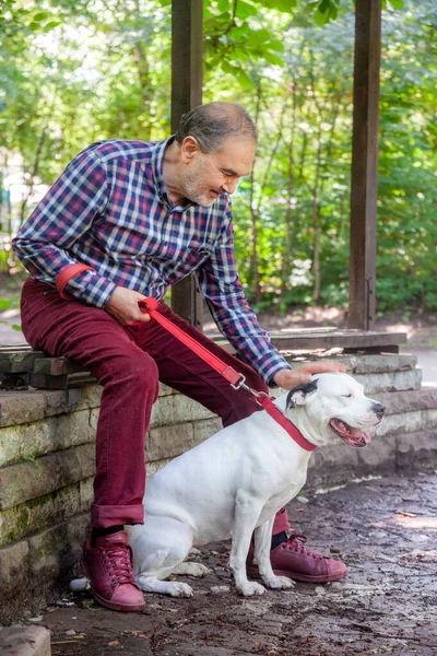 Homem idoso está acariciando um cão branco Pitbull Terrier no parque — Fotografia de Stock