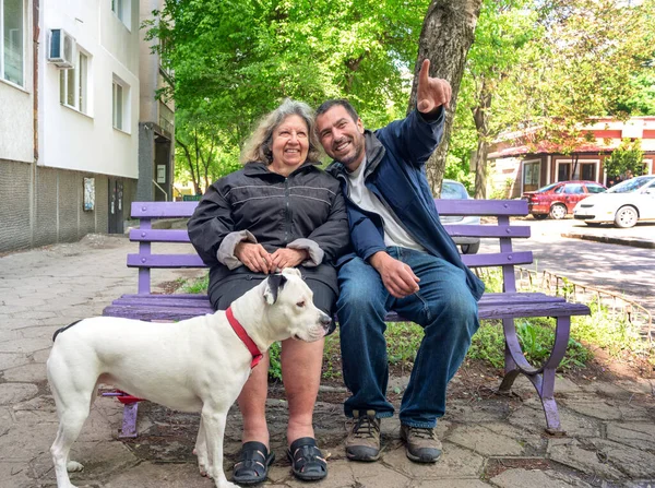 Покоління літня жінка і син з собакою сидячи на лавці на відкритому повітрі Усміхаючись — стокове фото