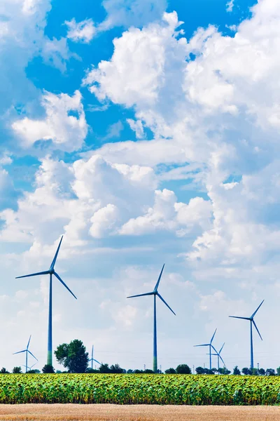 Green energy feeld wind turbines — Stock Photo, Image