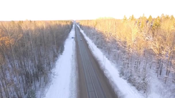 冬の空中ビュー道路。背景の森と空でいくつかの車やトラフィックを追跡します。森の中の道. — ストック動画