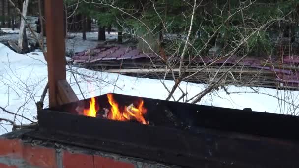 Bonfire Flames Outdoor Koken Op Brazilier BBQ.Brandende kolen Vlammen In Mangal Barbecue. Langzame beweging. — Stockvideo