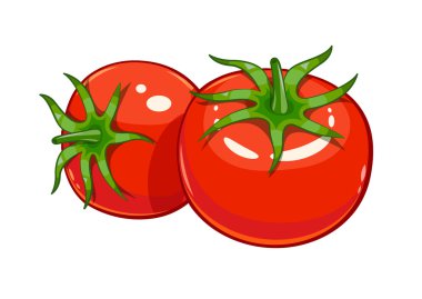 Çift kırmızı ripe domates vektör çizim eps10