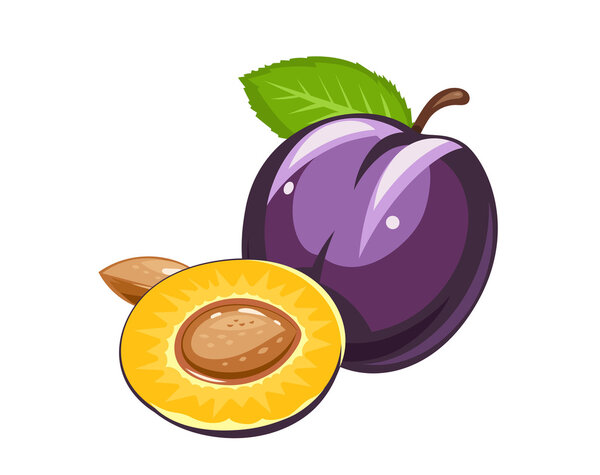 Слива. Спелые сочные фрукты с орехом и листьями
