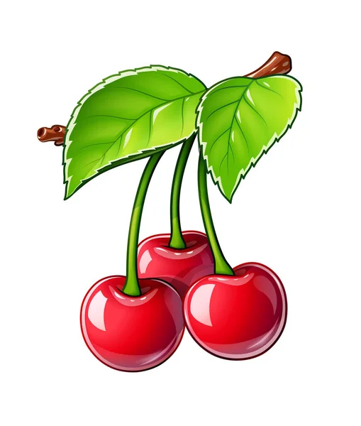 Kirsche Reife Saftige Beeren Rote Früchte Mit Blatt Isoliert Auf — Stockvektor