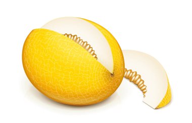 Kavun. Beyaz arka planda izole edilmiş olgun, lezzetli meyveler. Eps10 vektör illüstrasyonu.