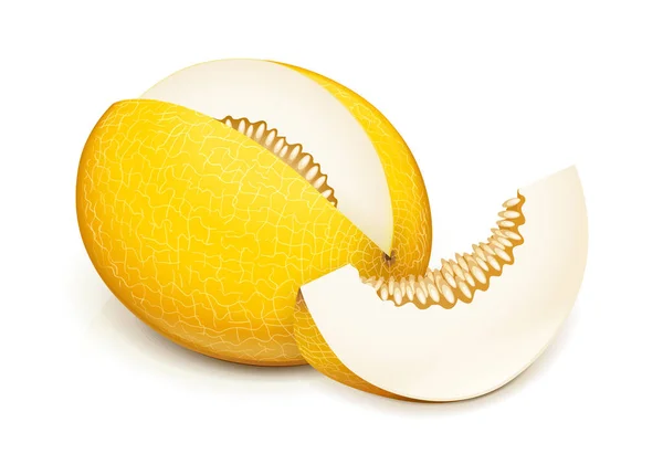 Melon Fruit Juteux Mûr Délicieux Isolé Sur Fond Blanc Illustration — Image vectorielle